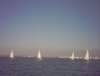 image0049_small.jpg